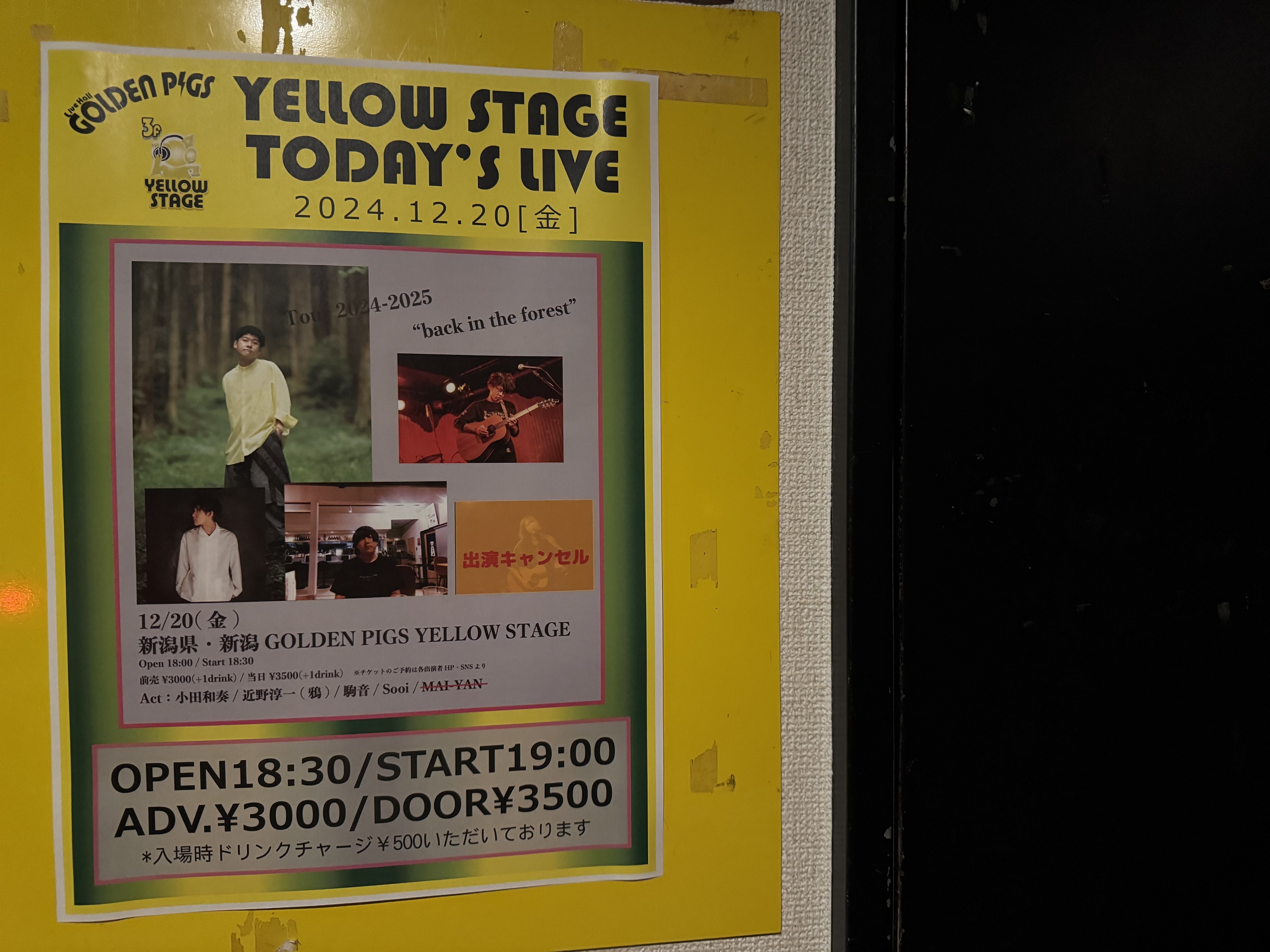 雑記20241220 新潟GOLDEN PIGS YELLOW STAGE「tour 2024-2025 back in