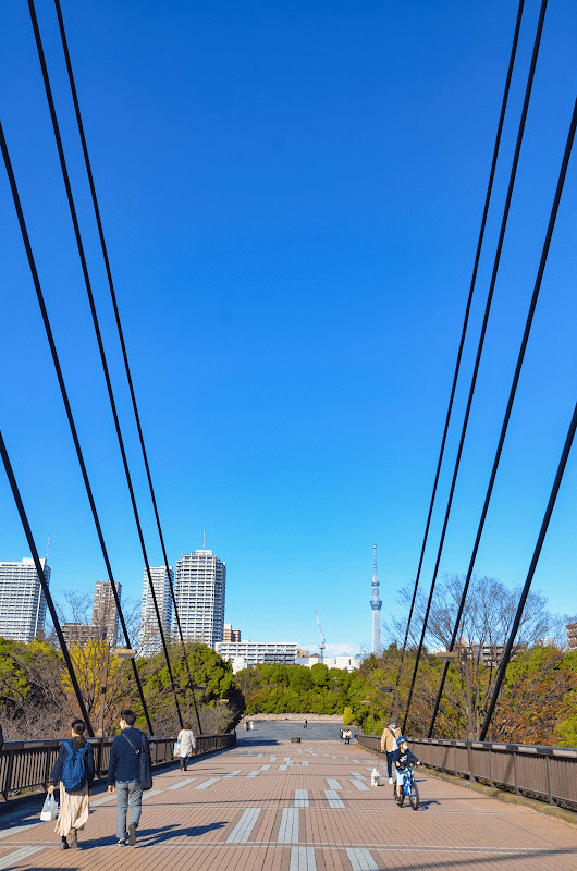東京・江東区】都内の運河沿いと公園をウォーキング、ランチは激辛