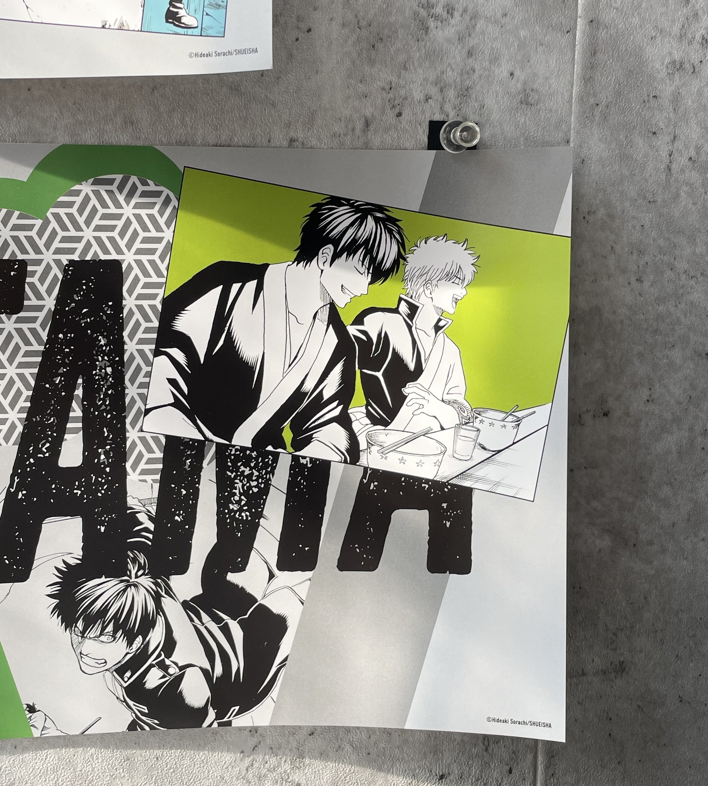 原画展購入品紹介その2❤️‍🔥ランダムBOX開封篇｜🥩🌲