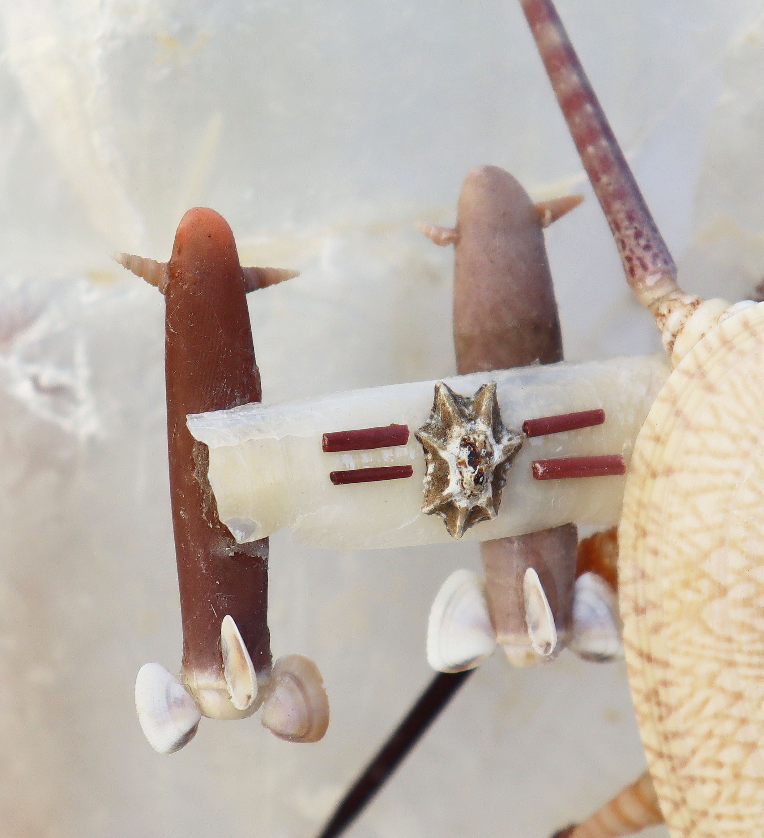 武装したテナガカミキリ」｜zoo_shell