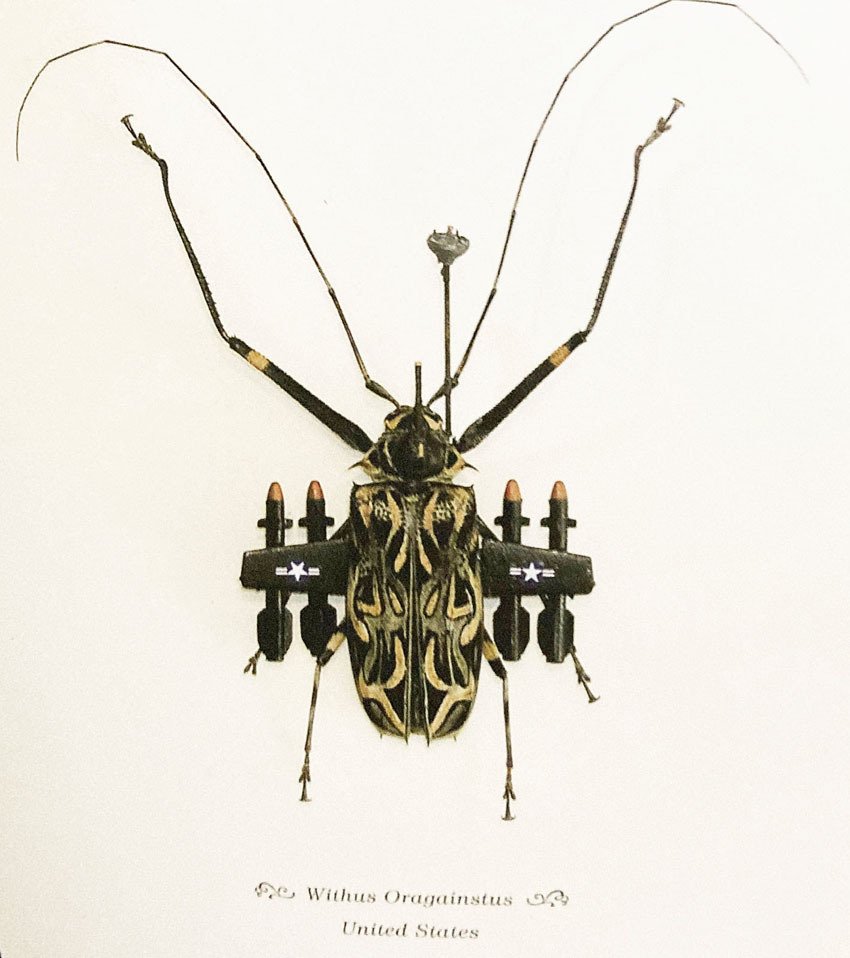 武装したテナガカミキリ」｜zoo_shell