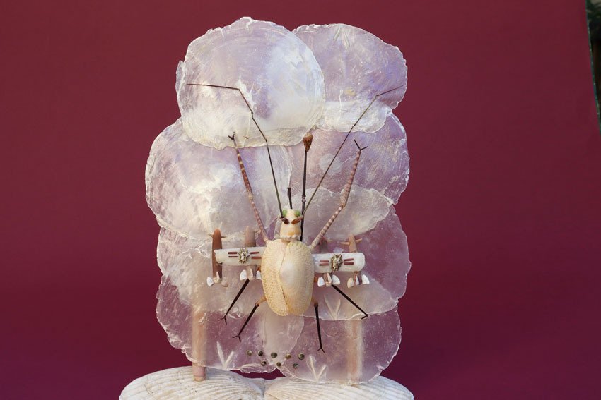 武装したテナガカミキリ」｜zoo_shell