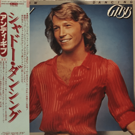 shadow dancing andy gibb｜城蔵