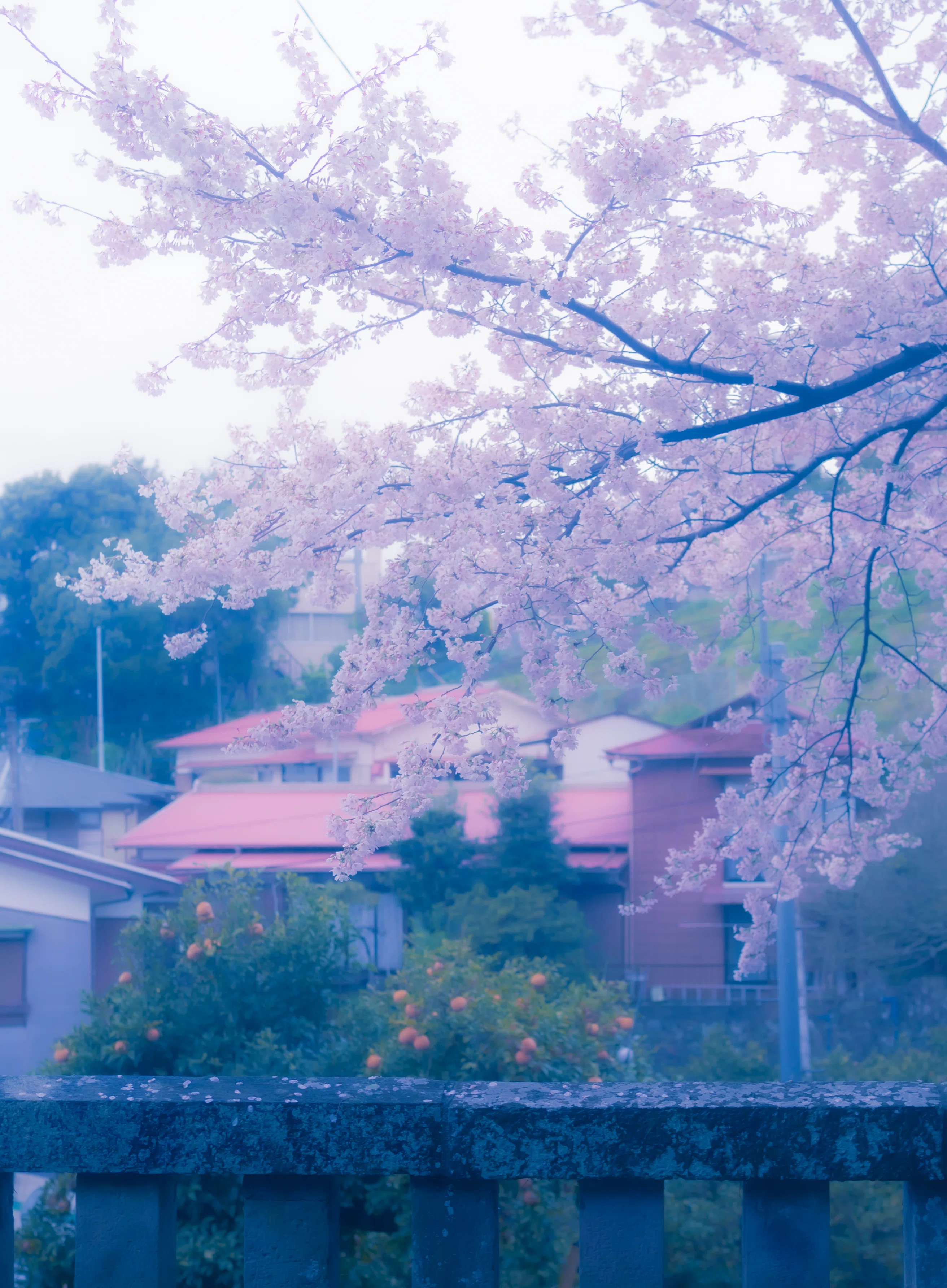 碧桜霞とガラスペン｜tsunekawa/旅する喫茶
