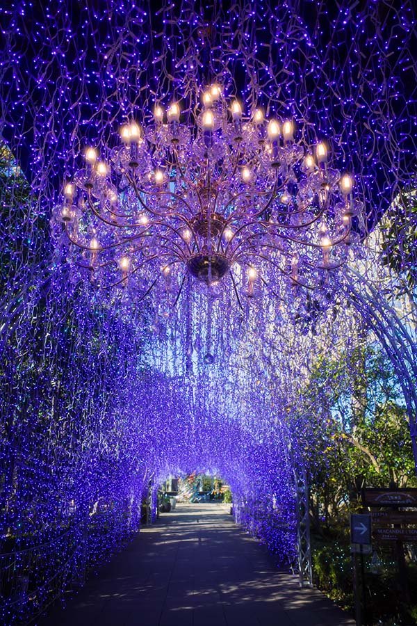 江の島三浦 冬の彩り | X-M5,GR III HDF｜borichan | 旅するカメラ