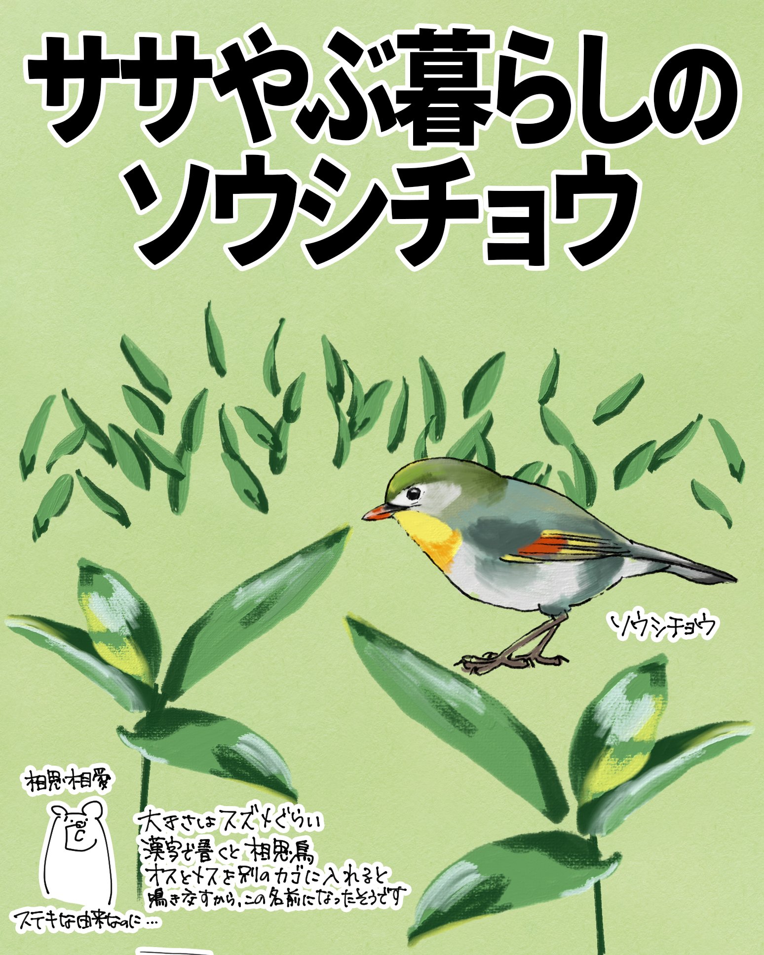 ササやぶ暮らしのソウシチョウ｜くますけ｜自然ガイド・クリエイター