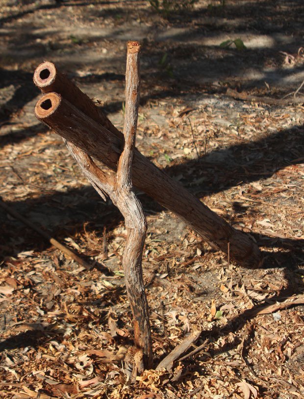 1. ディジュリドゥとは - 基本情報｜GORI