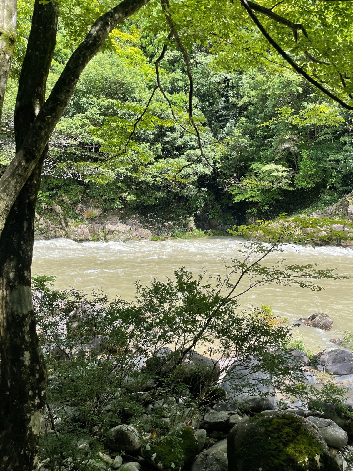 増水した板取川