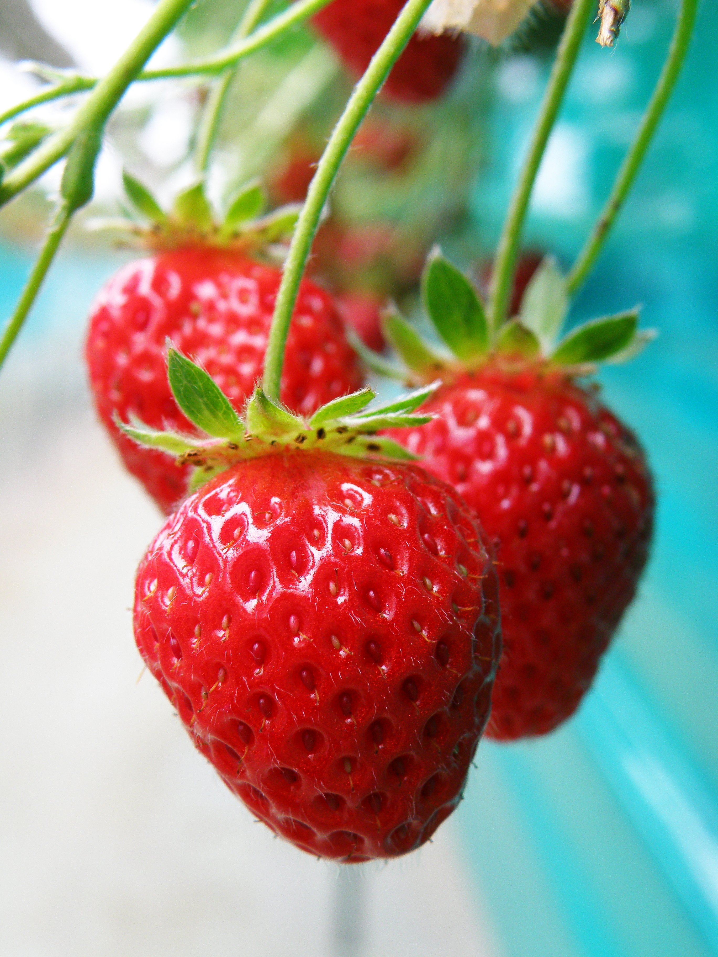 思い出コンパクトデジカメ『オリンパスSP-570UZ』｜思い出デジカメ