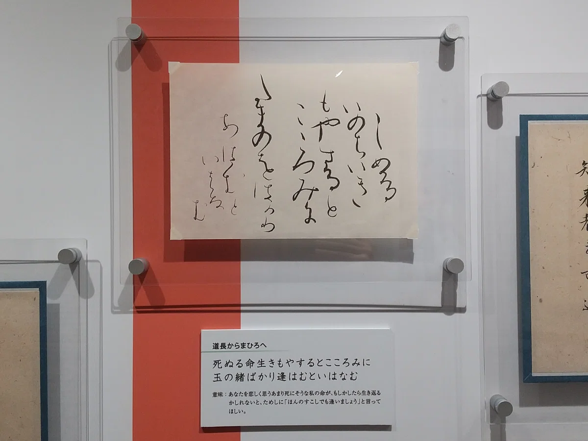 総じて、大河ドラマ│光る君×まひろ《光る君へ》の生き様を。|柴田 真衣 / Mai Shibata