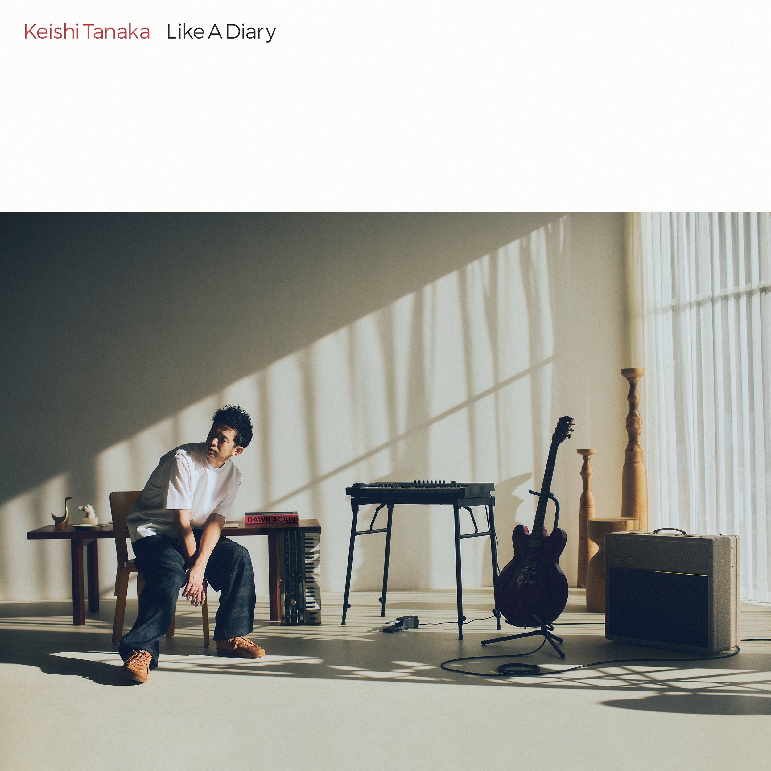 Like A Diary｜Keishi Tanaka