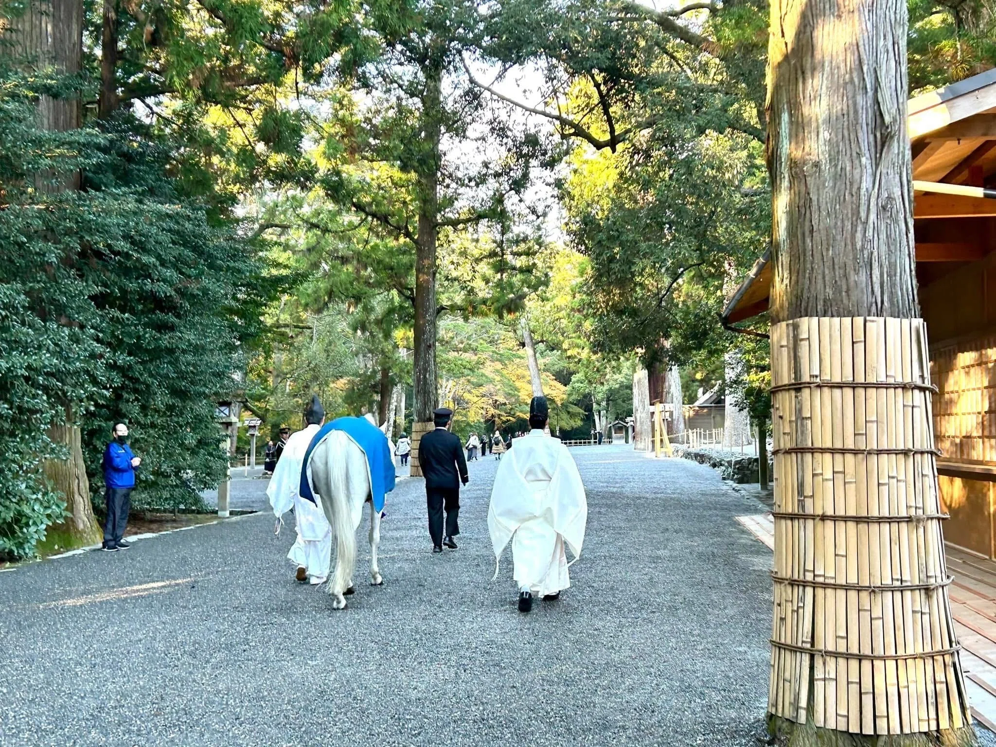 正宮へのお参り「神馬牽参」｜伊勢とこわかや