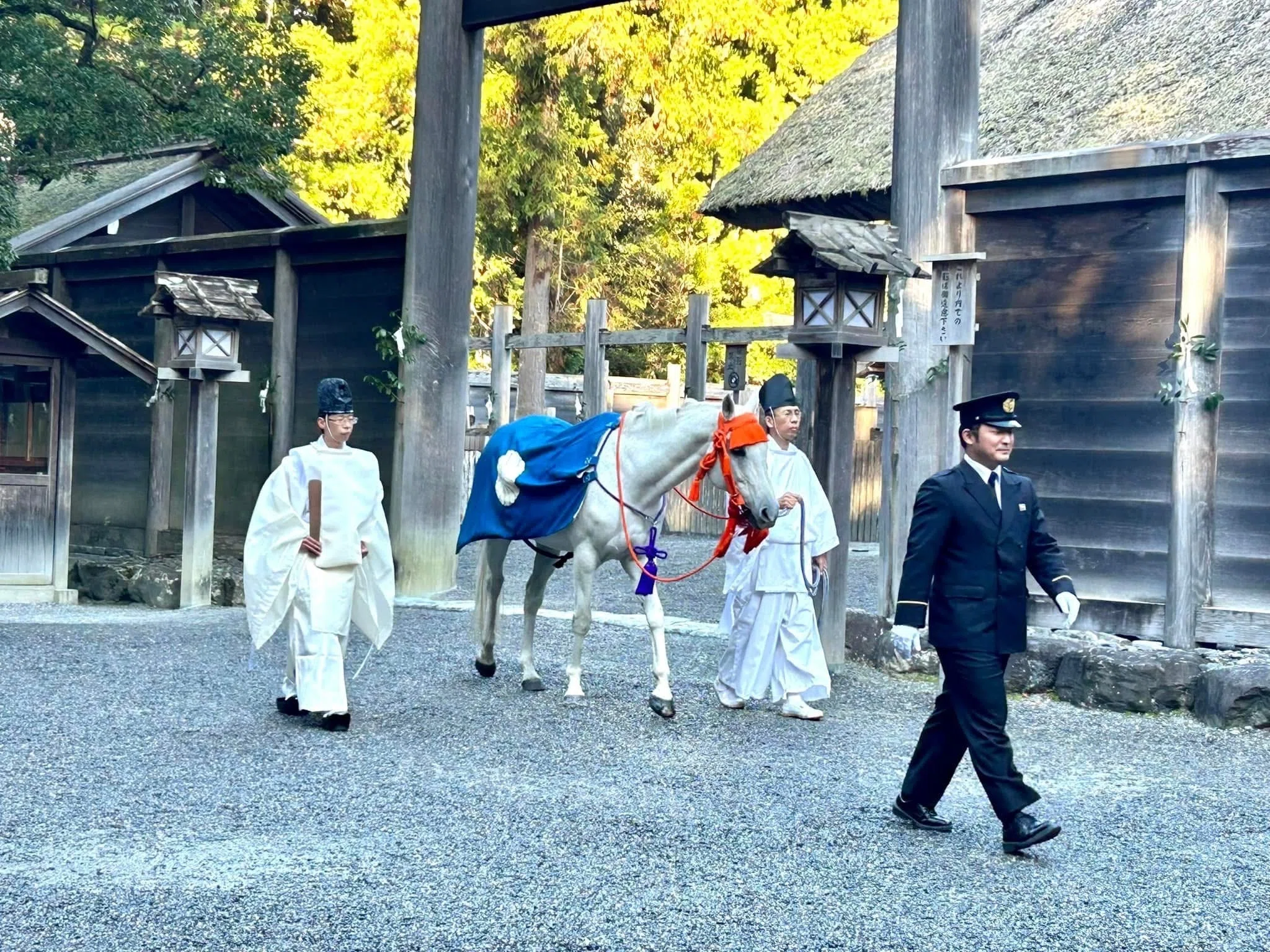 正宮へのお参り「神馬牽参」｜伊勢とこわかや