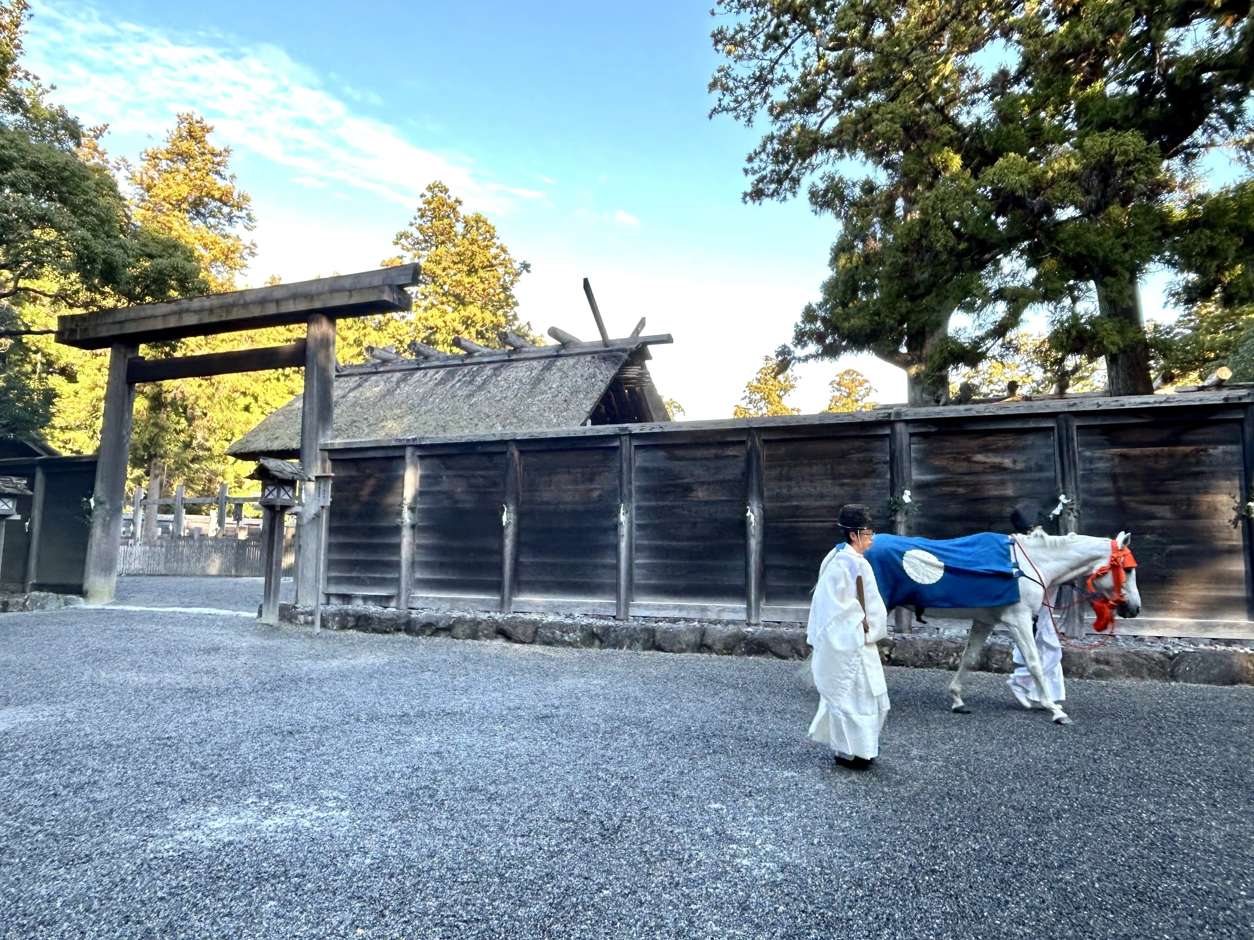 正宮へのお参り「神馬牽参」｜伊勢とこわかや