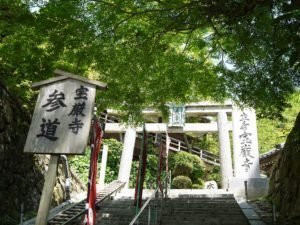 竹生島神社☆妖精がいる世界☆自然治癒力を活性化させ