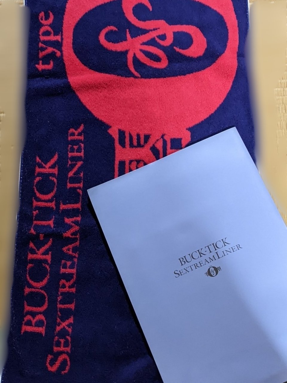 BUCK-TICK 【SEXTREAM LINER type零型】パンフレットの通販 by