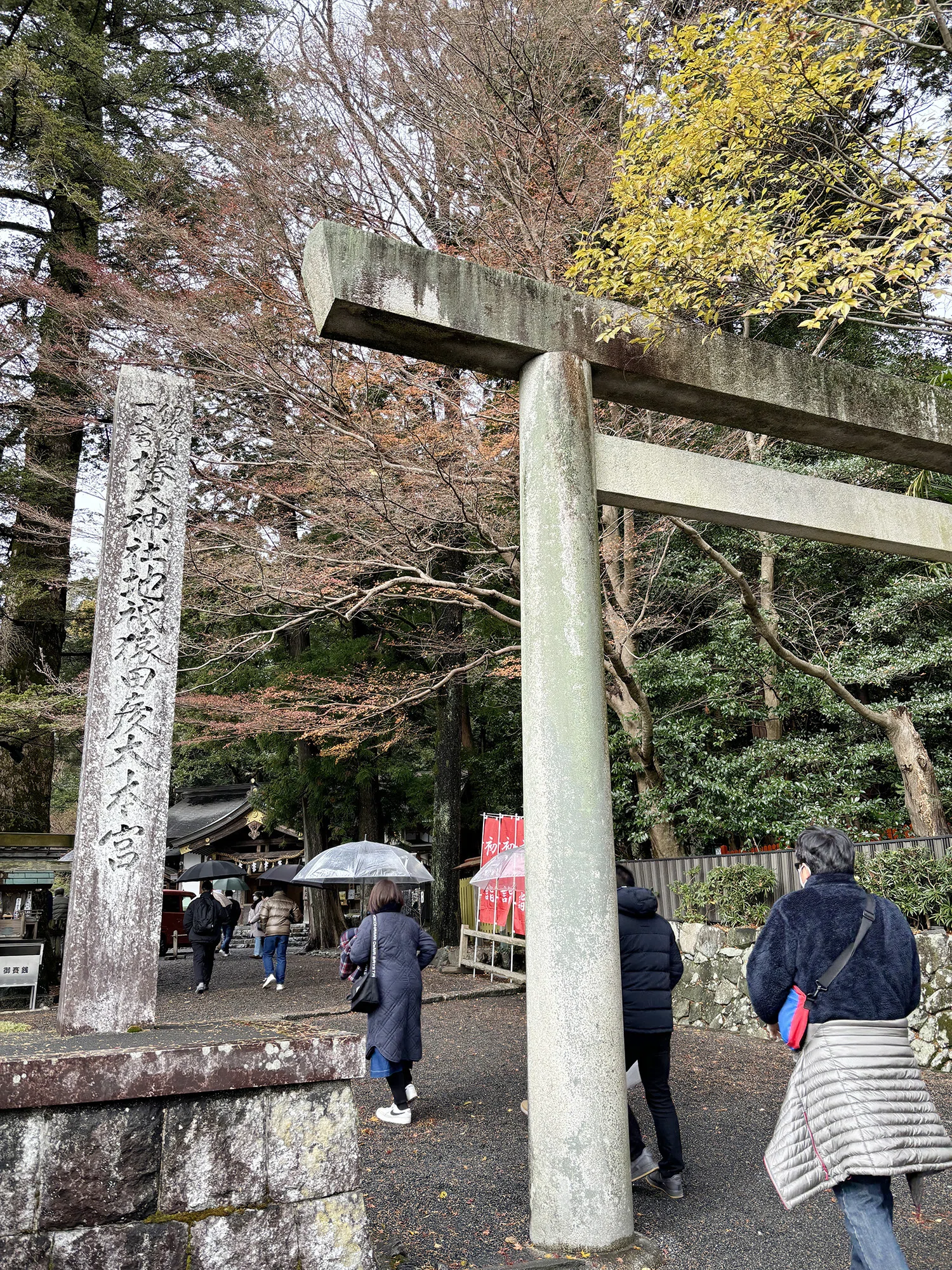 椿大神社｜仲谷まどか