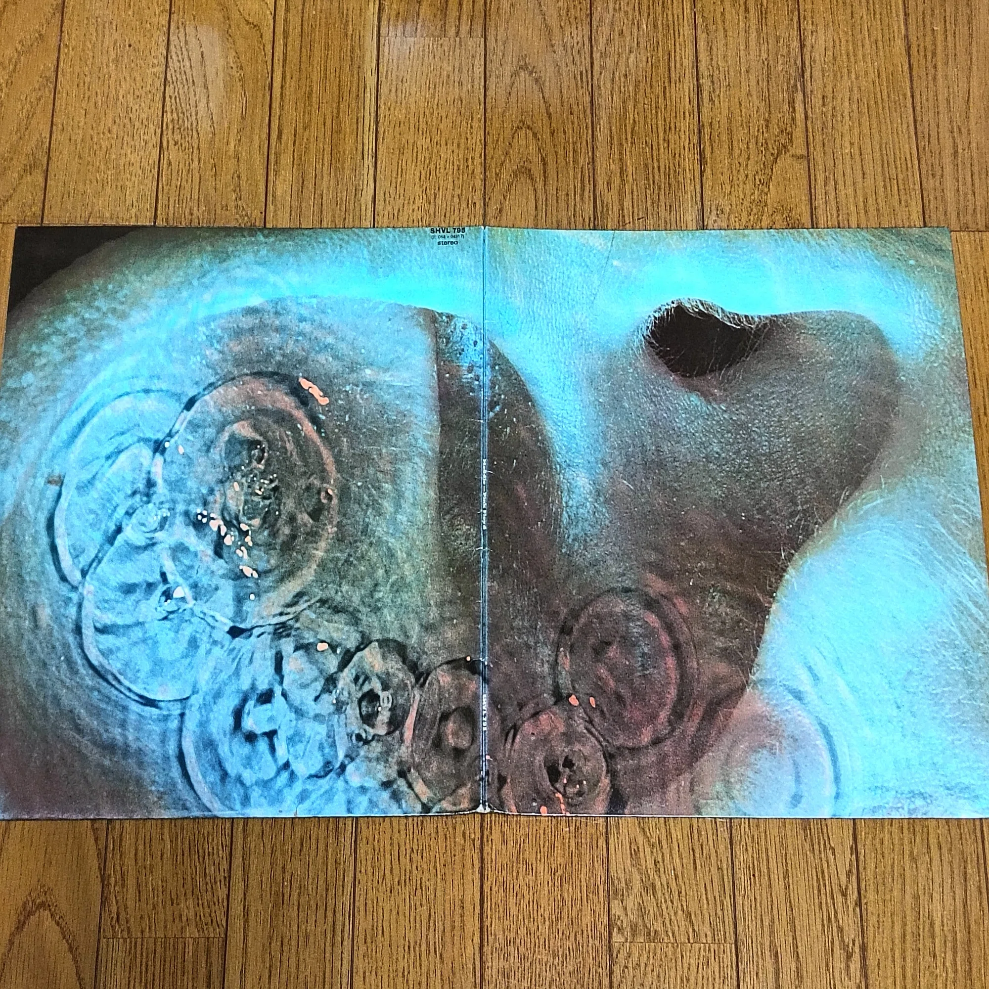 Meddle】(1971) Pink Floyd 大ブレイク前夜の壮大なフロイドサウンドの 