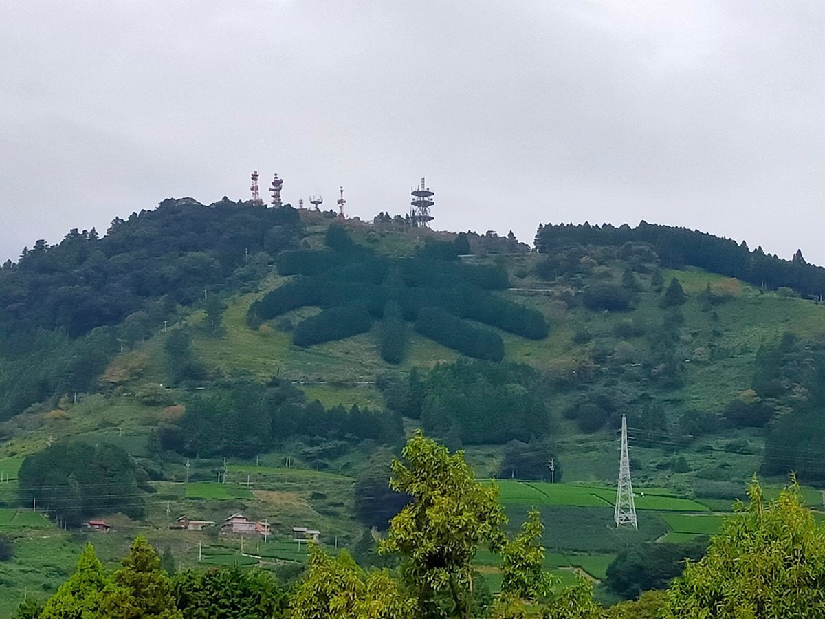 掛川100景 【No.20】 茶草場農法｜掛川市