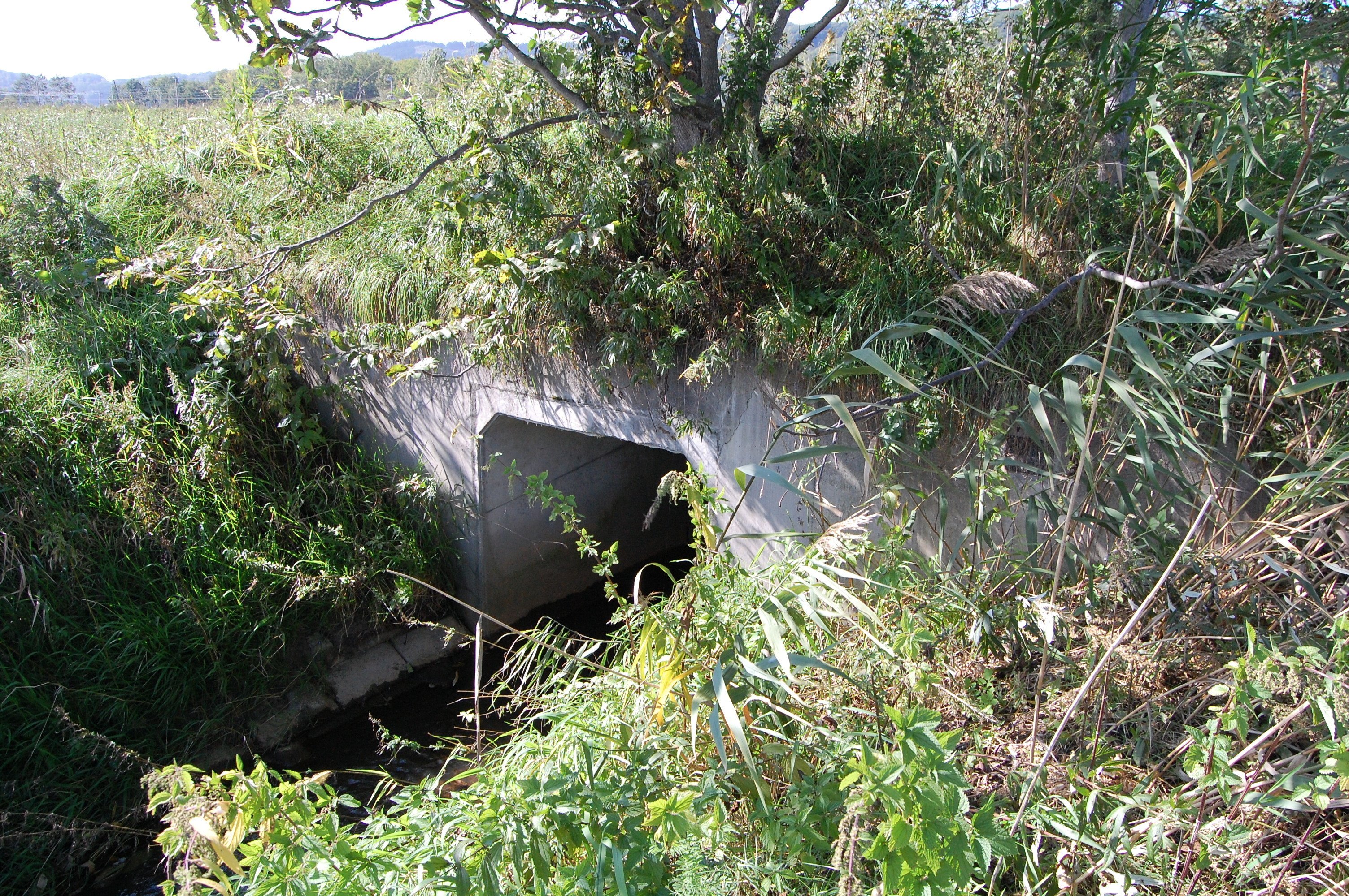 【渚滑森林鉄道（廃線）サボ 行先板】貯木場（むりい）濁川事業所×上丸↔濁川事業所 渚滑森林鉄道（廃線）サボ 行先板】貯木場（むりい）濁川事業所