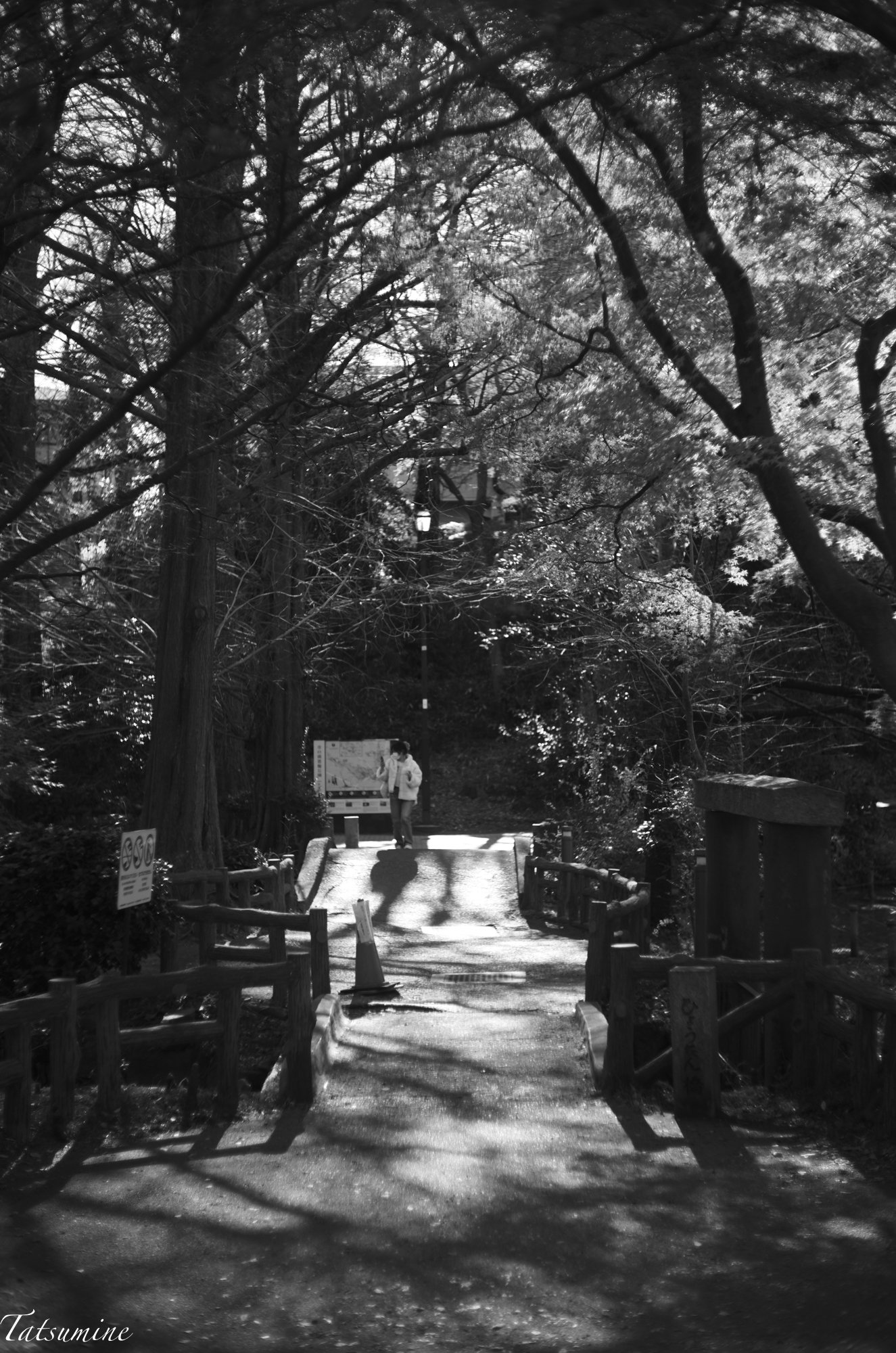 Canon Lens (Serenar) 50mm F1.8 Ⅰ|tatsumine Canon Lens (Serenar) 50mm F1.8 Ⅰ|tatsumine