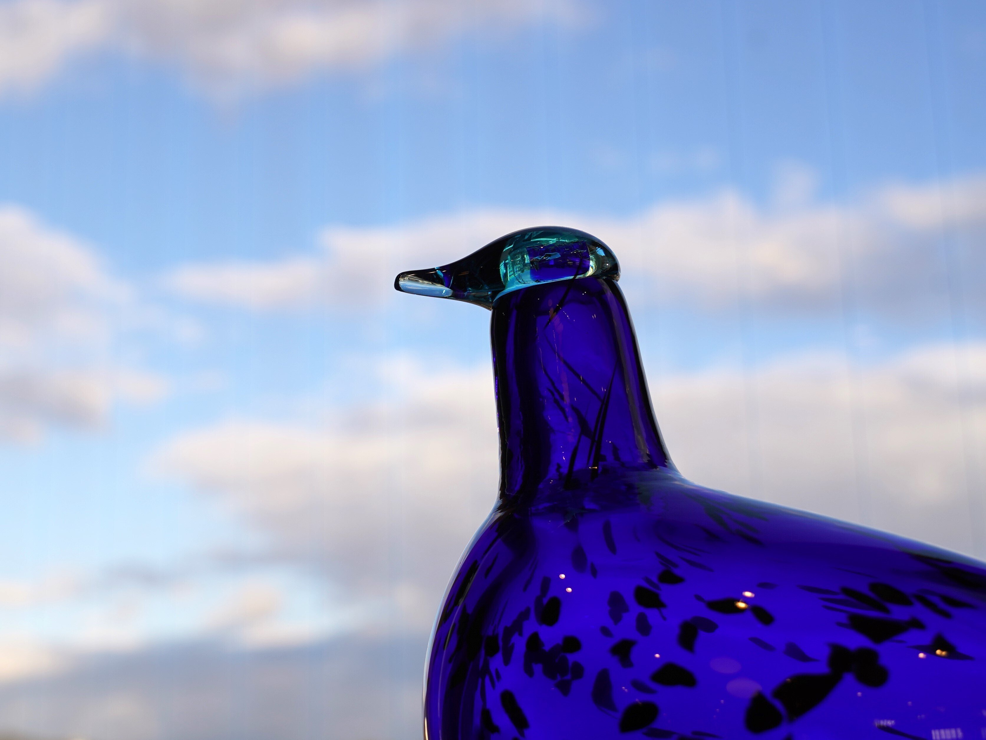 青いガラスの鳥 by Oiva Toikka|EN HALV - 北欧雑貨のある暮らし - 青いガラスの鳥 by Oiva Toikka|EN HALV - 北欧雑貨のある暮らし -