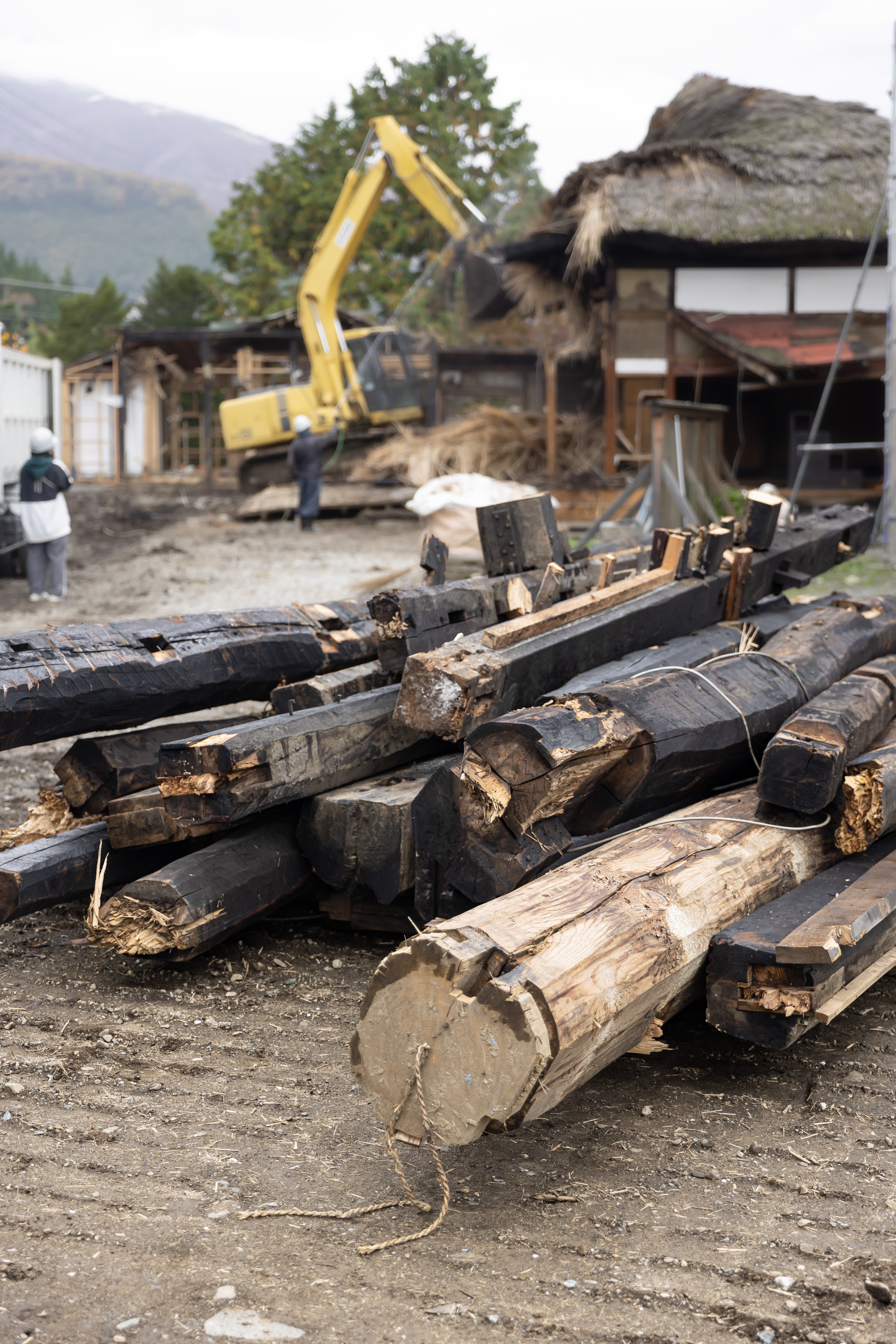 解体・買取りとその出口──「山翠舎 時を重ねた古木をめぐる話」第6回