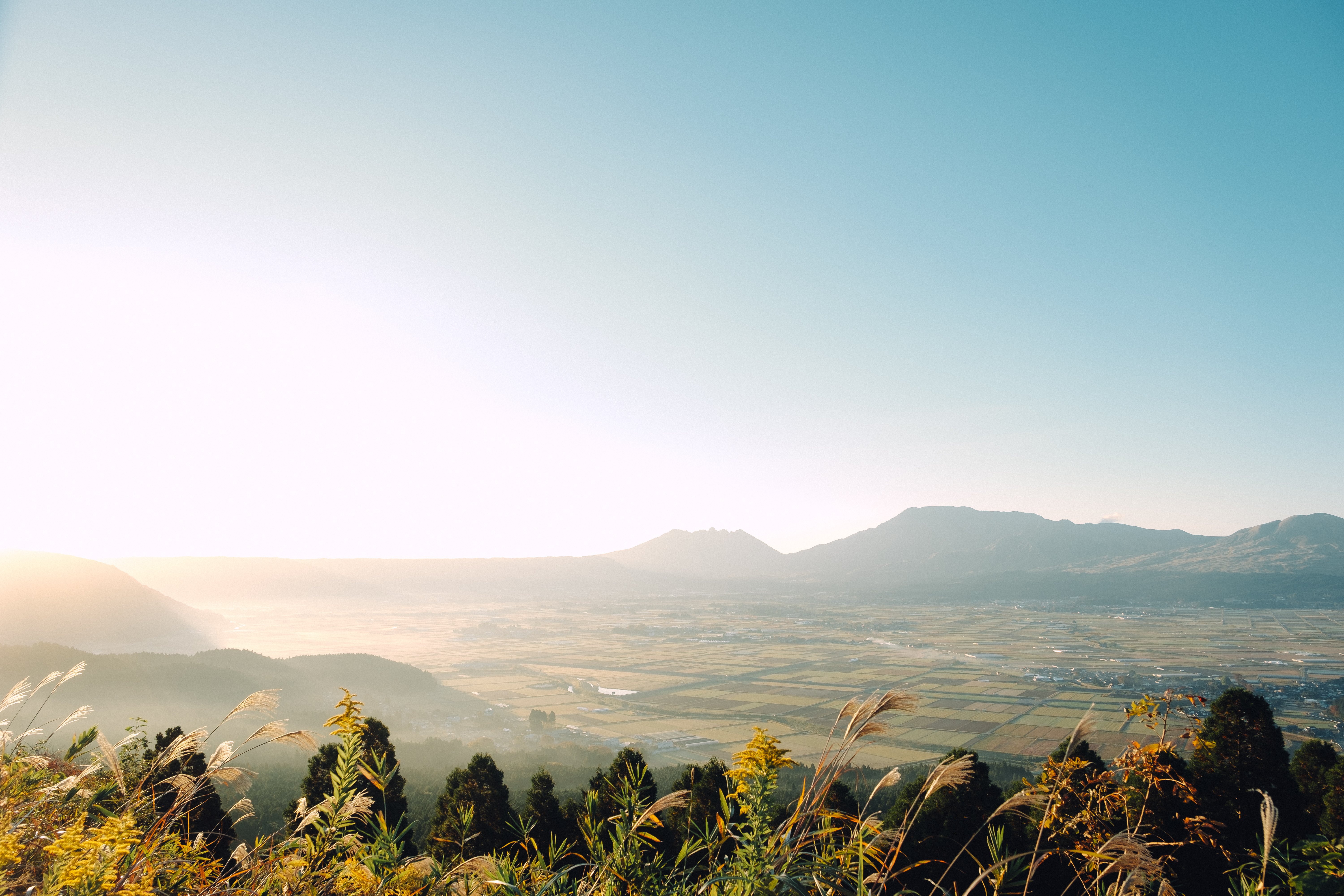 カウンター越しの出会い。地域と人を結ぶ場所 / 鈴木 慎一郎｜Staple