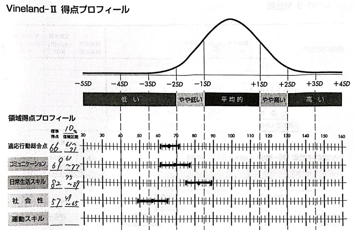 Vineland-II: 適応行動を科学的に評価する信頼のアセスメントツール