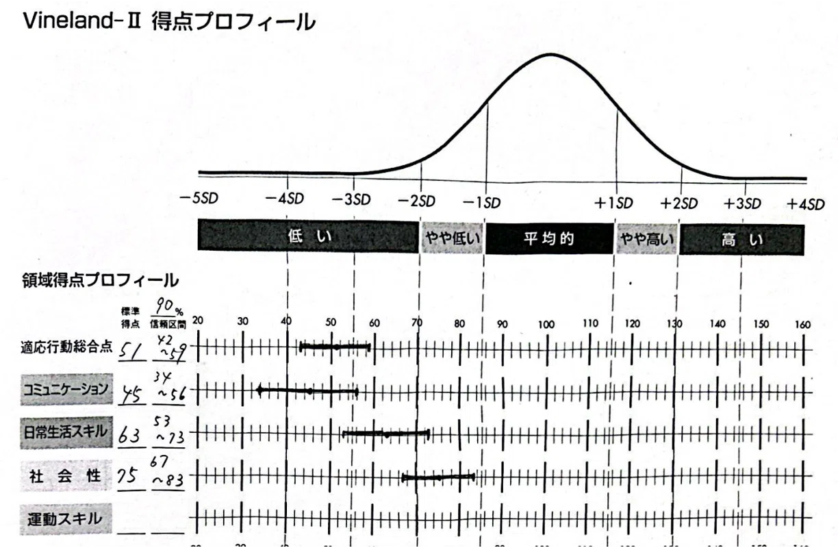Vineland-II: 適応行動を科学的に評価する信頼のアセスメントツール