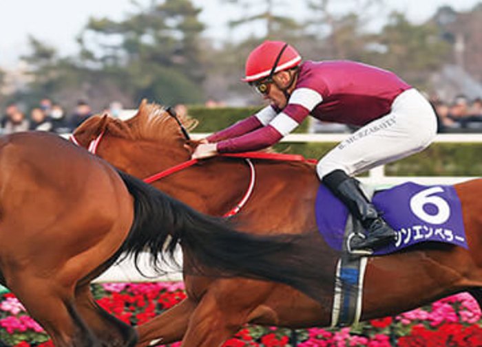 2022ホープフルステークスポスター｜日本サイン競馬会