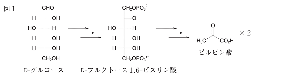松廼屋|論点解説 薬剤師国家試験対策ノート問 109-110-111 松廼屋|論点解説 薬剤師国家試験対策ノート問 109-110-111