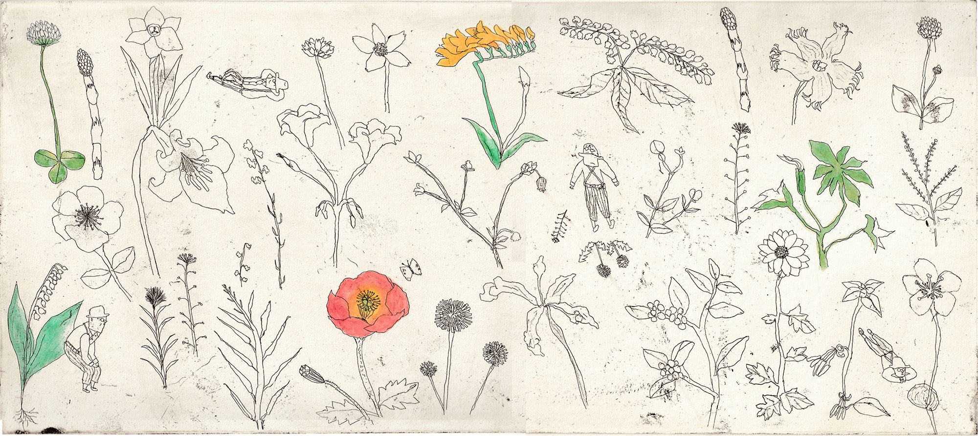 思い通りにいかないところが銅版画の魅力 イラストレーター/銅版画家