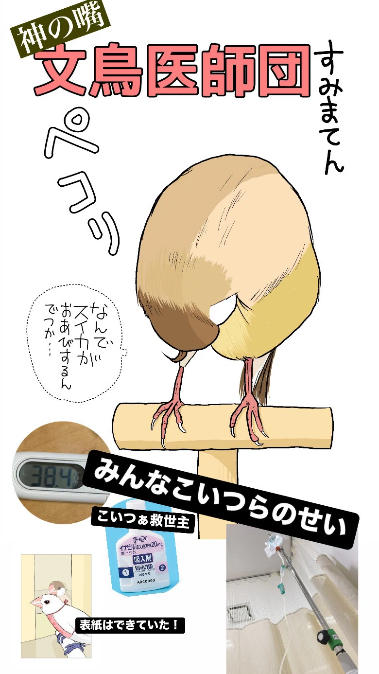 お詫びとお知らせ｜ミカぢる