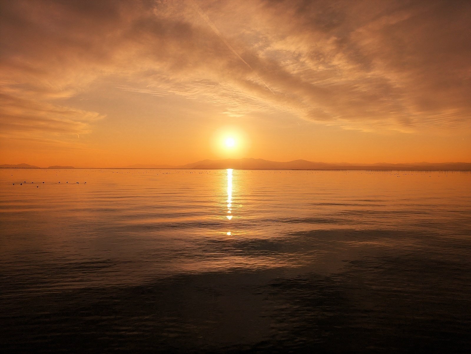 びわ湖の夕日 同じ湖岸で定点観察 8回目今日はとても穏やかな金の波で