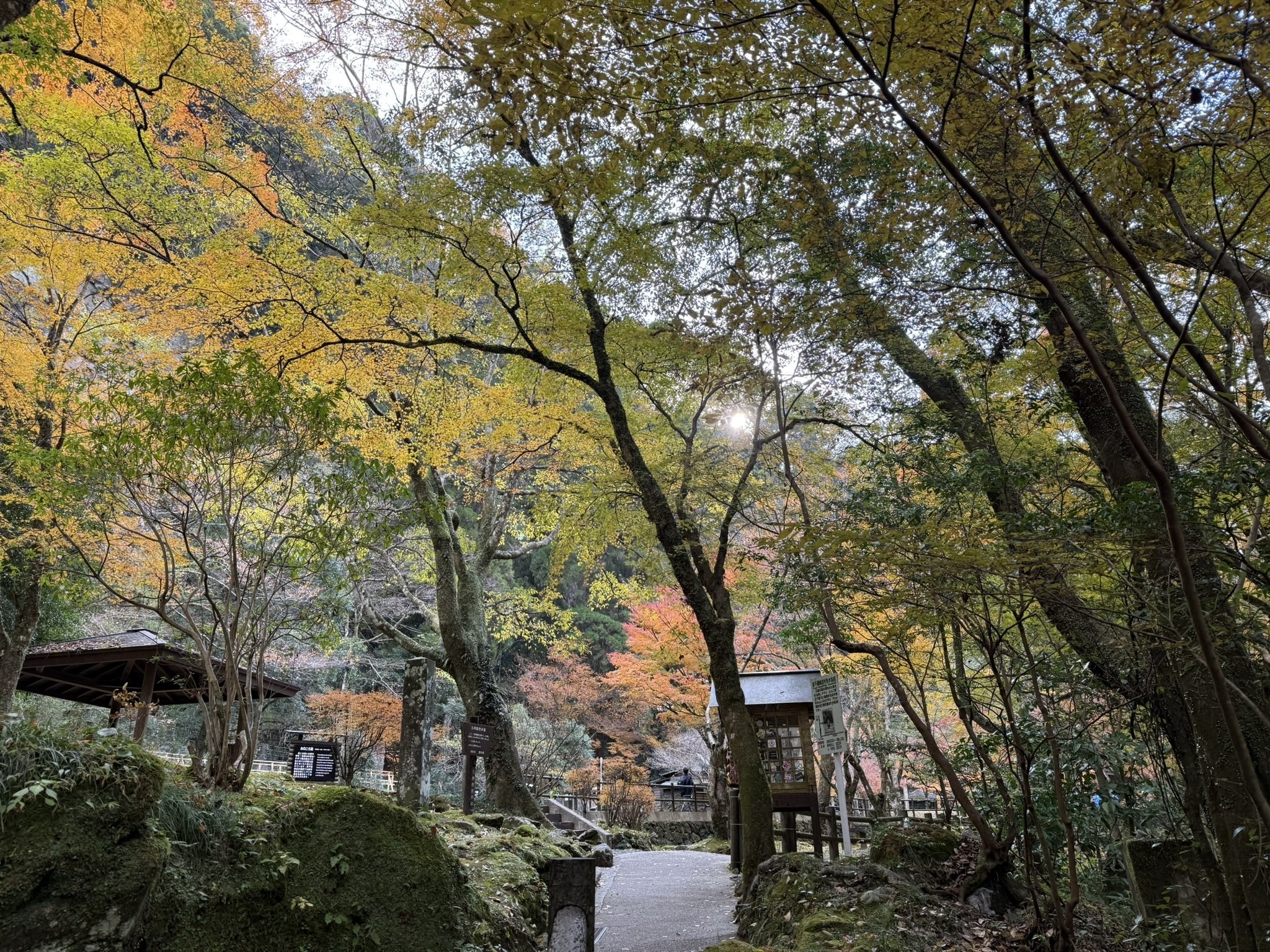 523 初冬だけど秋色に染まった宮崎県・高千穂峡を歩いた日