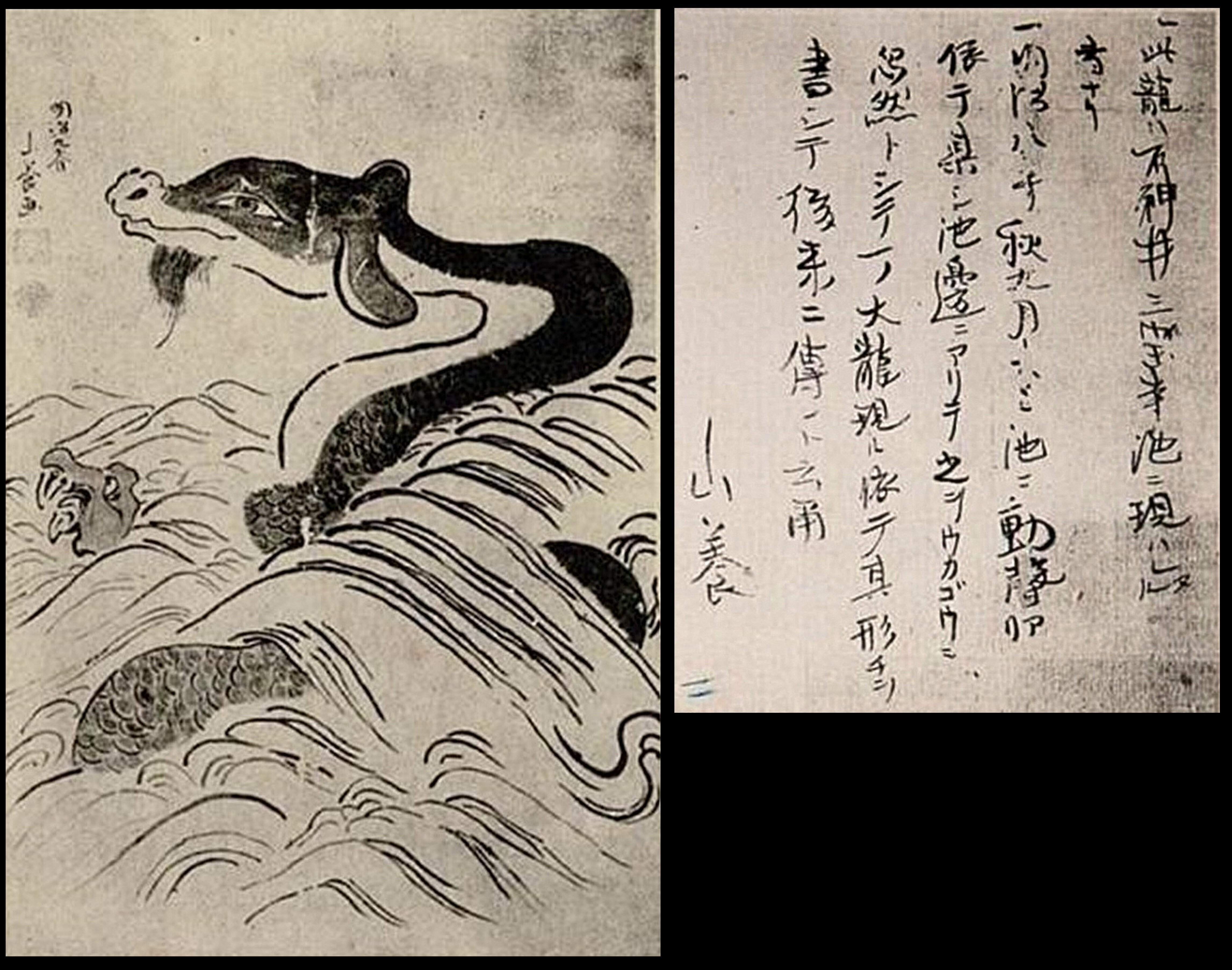 希少　福田くら　神になるまで　仕組みのままに　天地の法蔵　わが心霊の旅路 希少 福田くら 神になるまで 仕組みのままに 天地の法蔵 わが心霊の