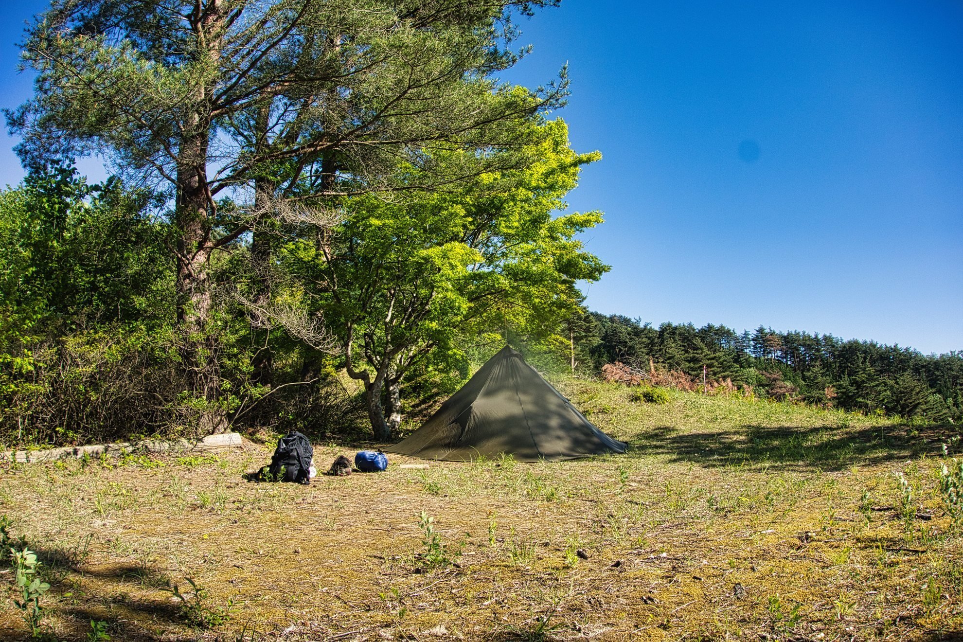 2024年キャンプ総括｜ajasuco