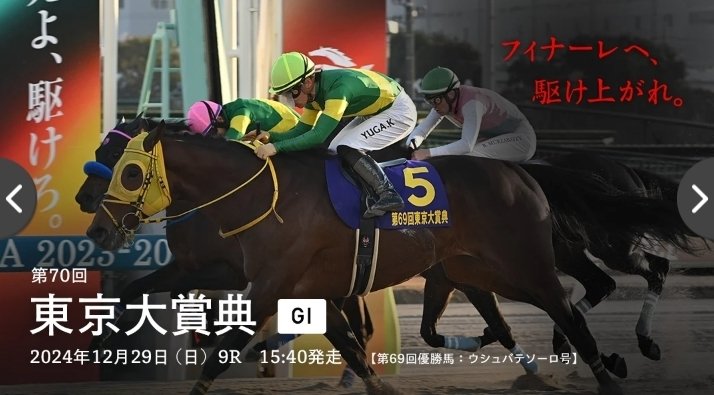 東京大賞典2024 サイン馬券】CMサインは高橋文哉に大注目！枠順にその