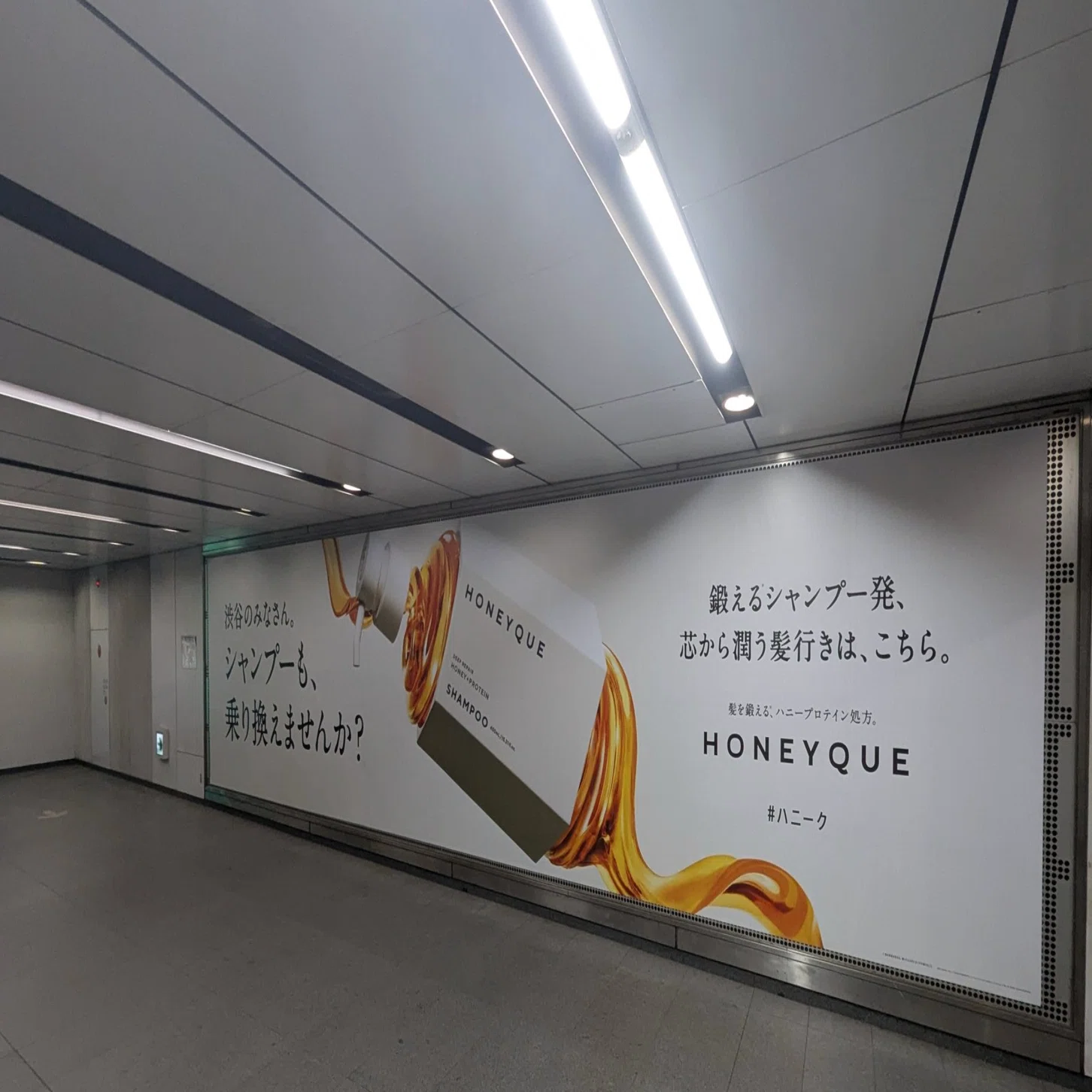 2024/12/28】「シャンプーも“乗り換え”ませんか？」ハニークの広告 