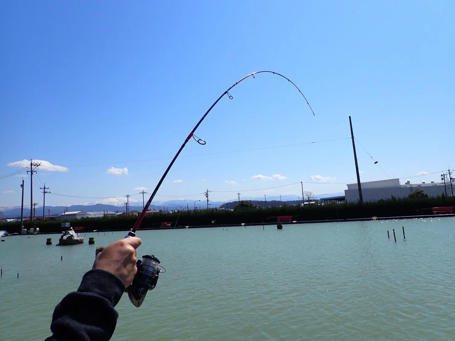復刻】LUCK exclusive model XTL511-5S｜LUCKのムクちゃん