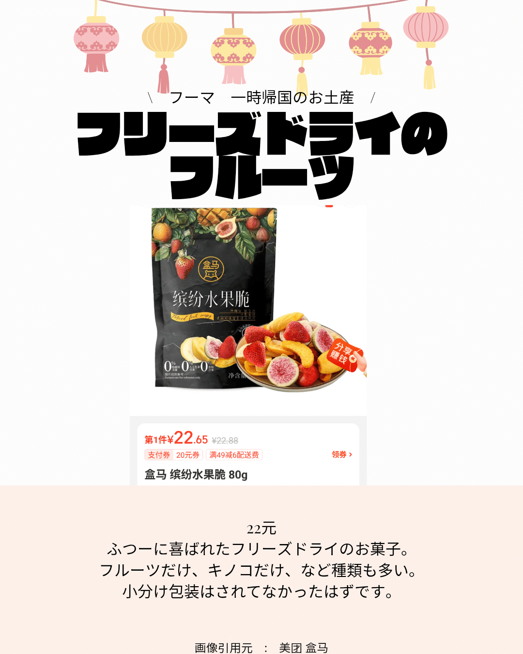 フーマ 一時帰国のお土産｜パンダニーハオ