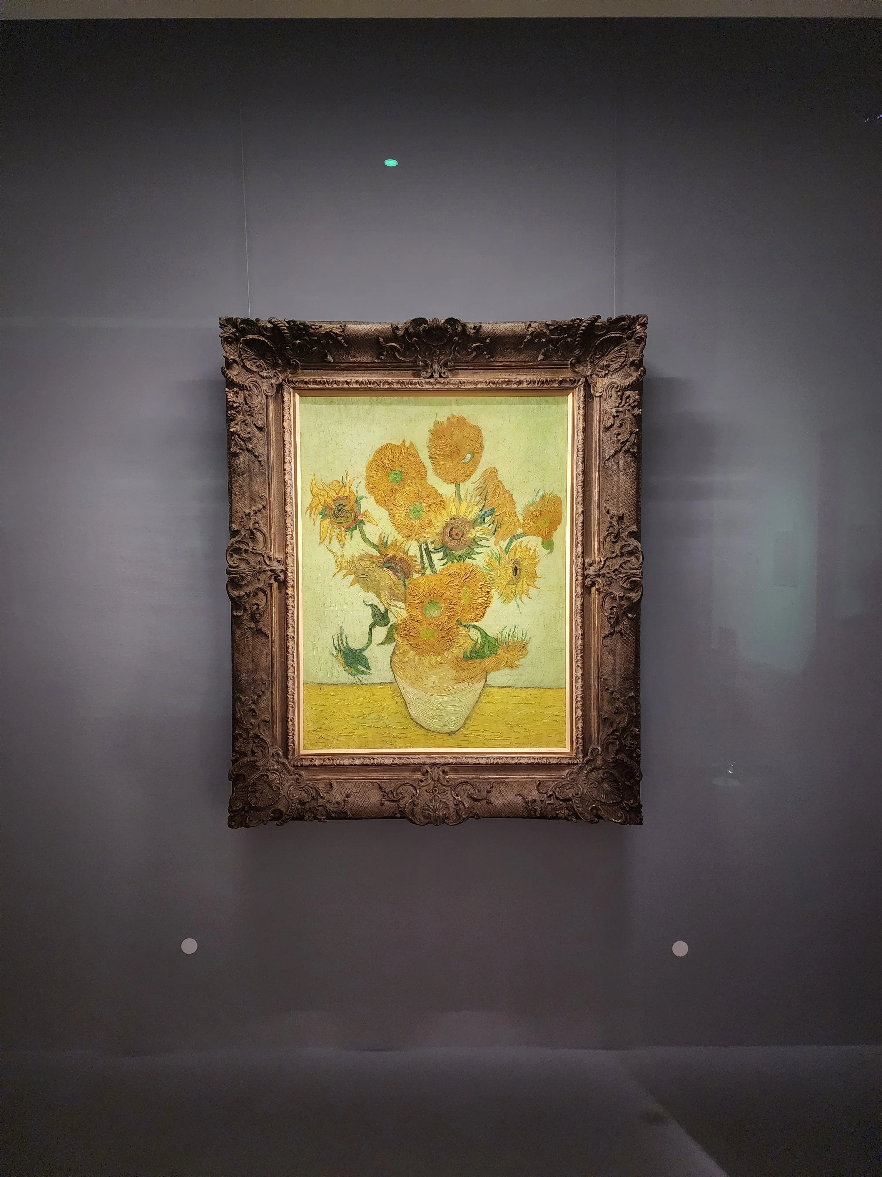 🇫🇷ゴッホが見た「ひまわり」、ゴッホが描いた「ひまわり」＜フランス