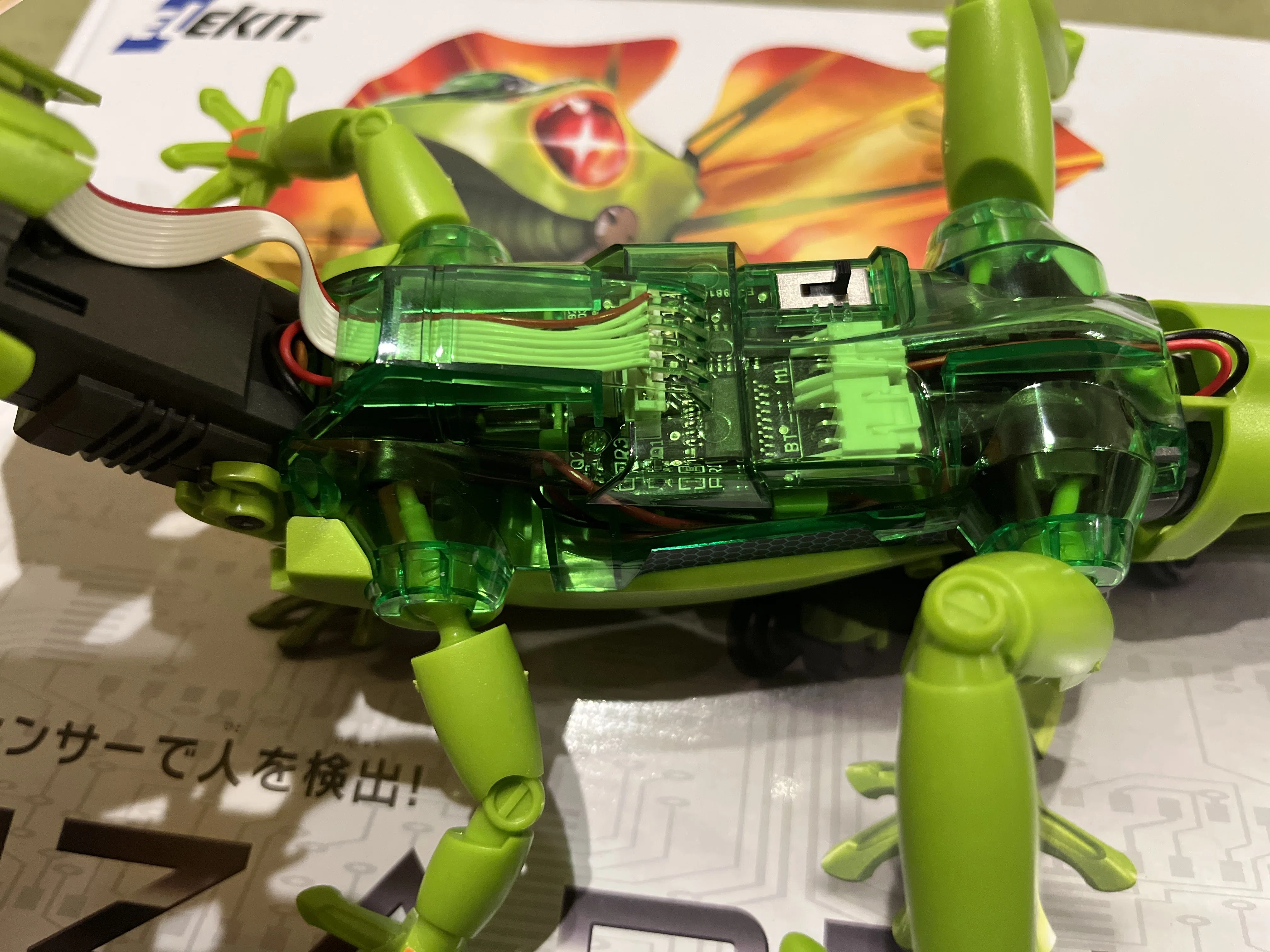 Lizardoid | Stimulating Curiosity for Science and Engineering!? A