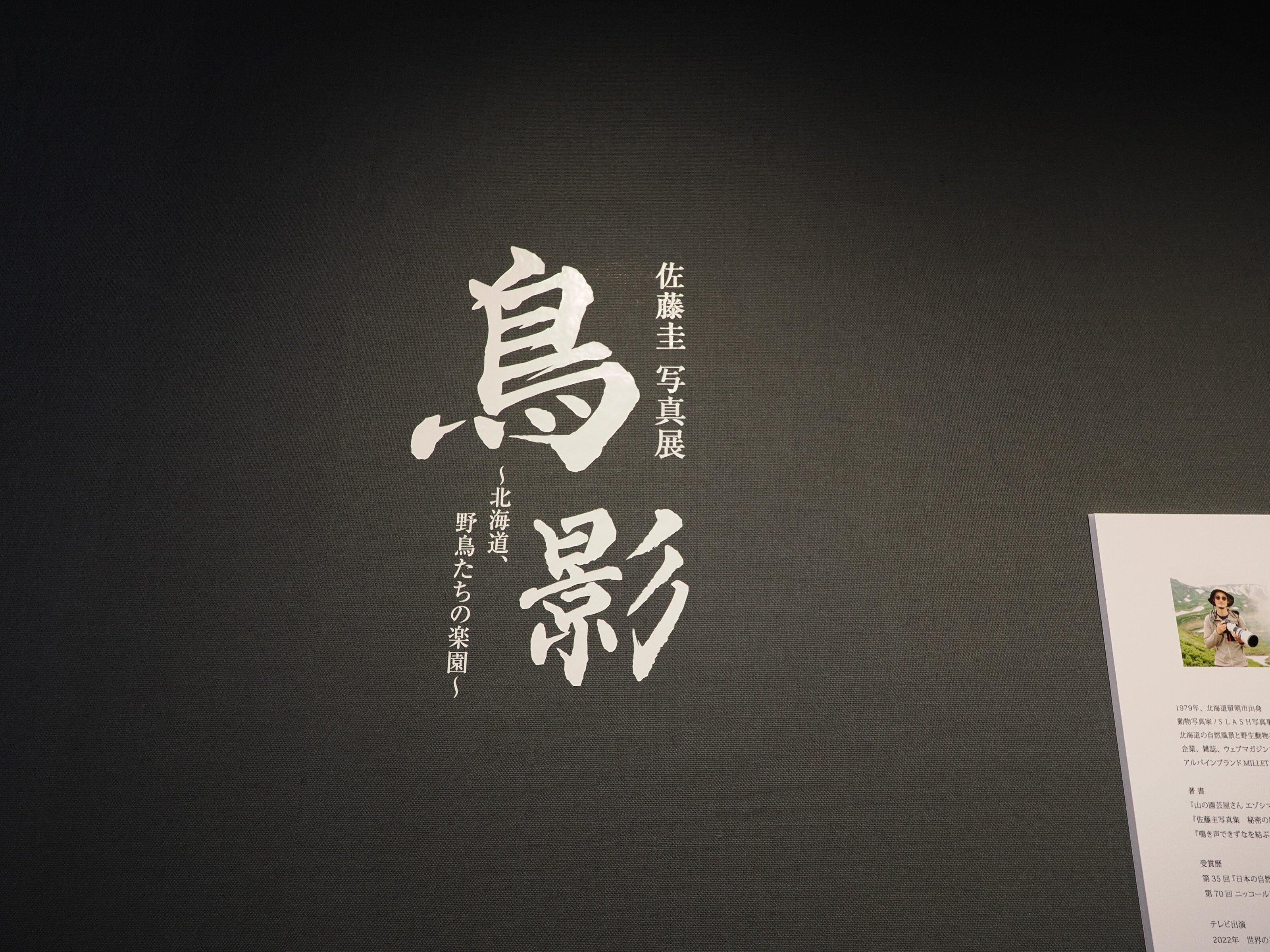 鳥を追いかけた1年。佐藤圭写真展『鳥影～北海道、野鳥たちの楽園