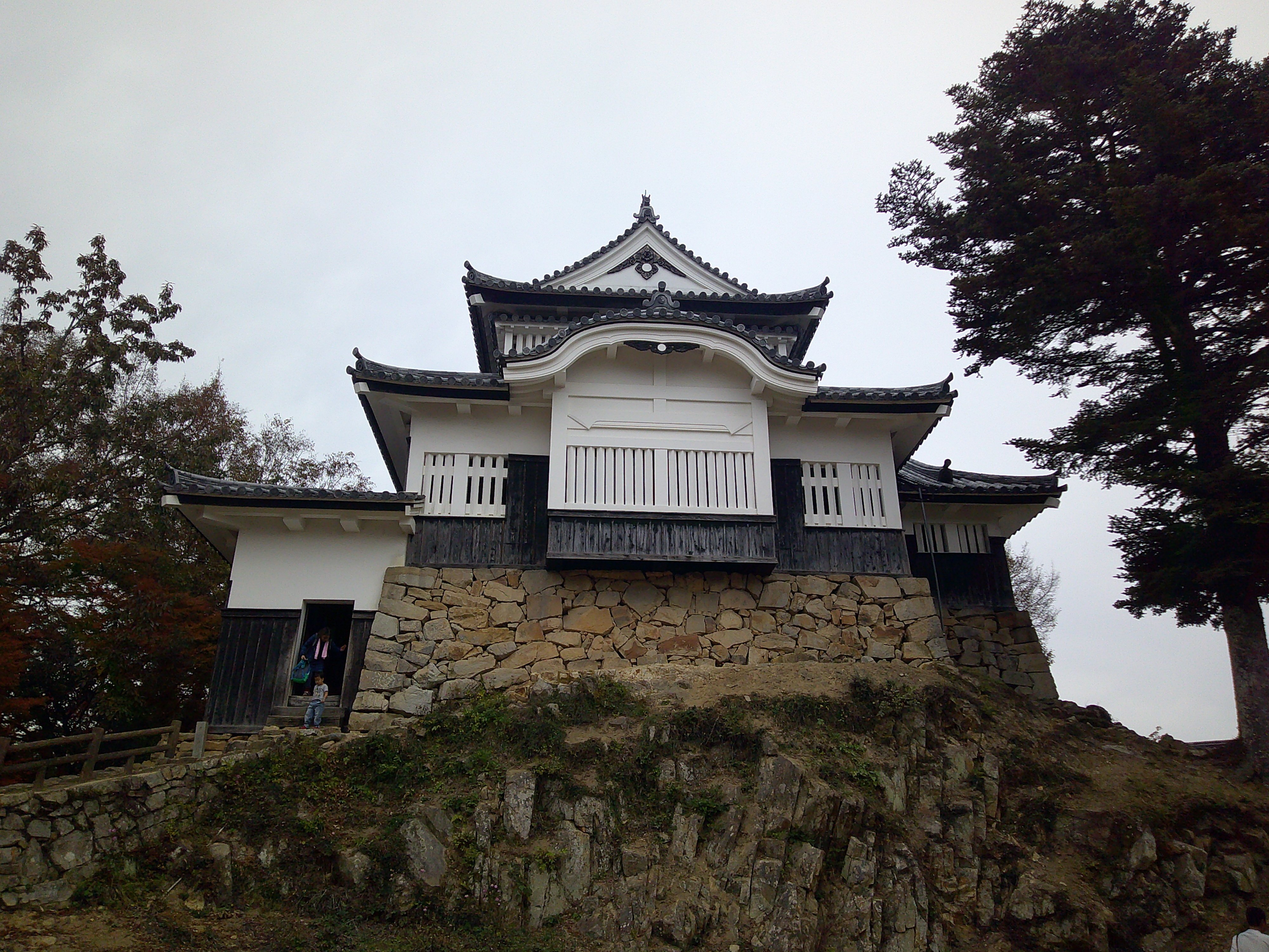 城にいた猫たち｜三城俊一/歴史ライター