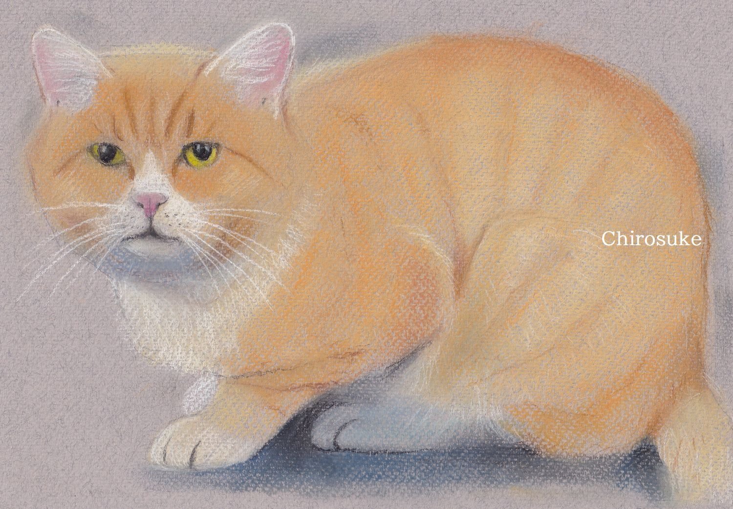 パステル画 ねこ 絵画 Creannso 通販 4564961｜Creema(クリーマ)
