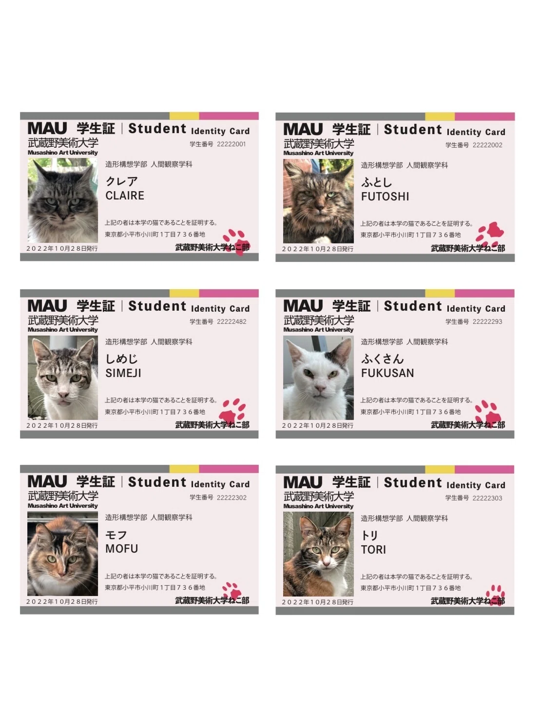 猫の学生証にて｜りせ（こ）