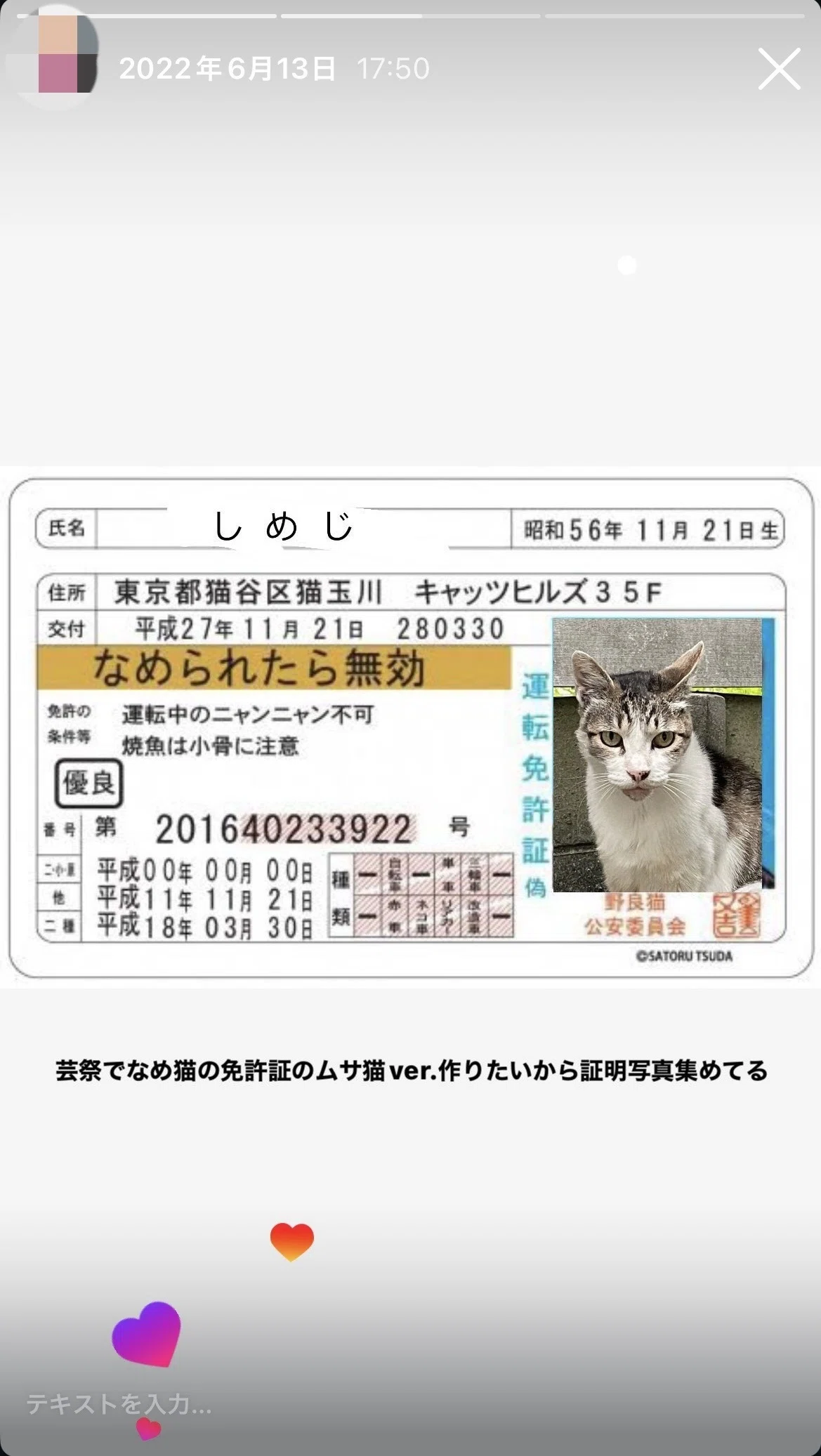 猫の学生証にて｜りせ（こ）