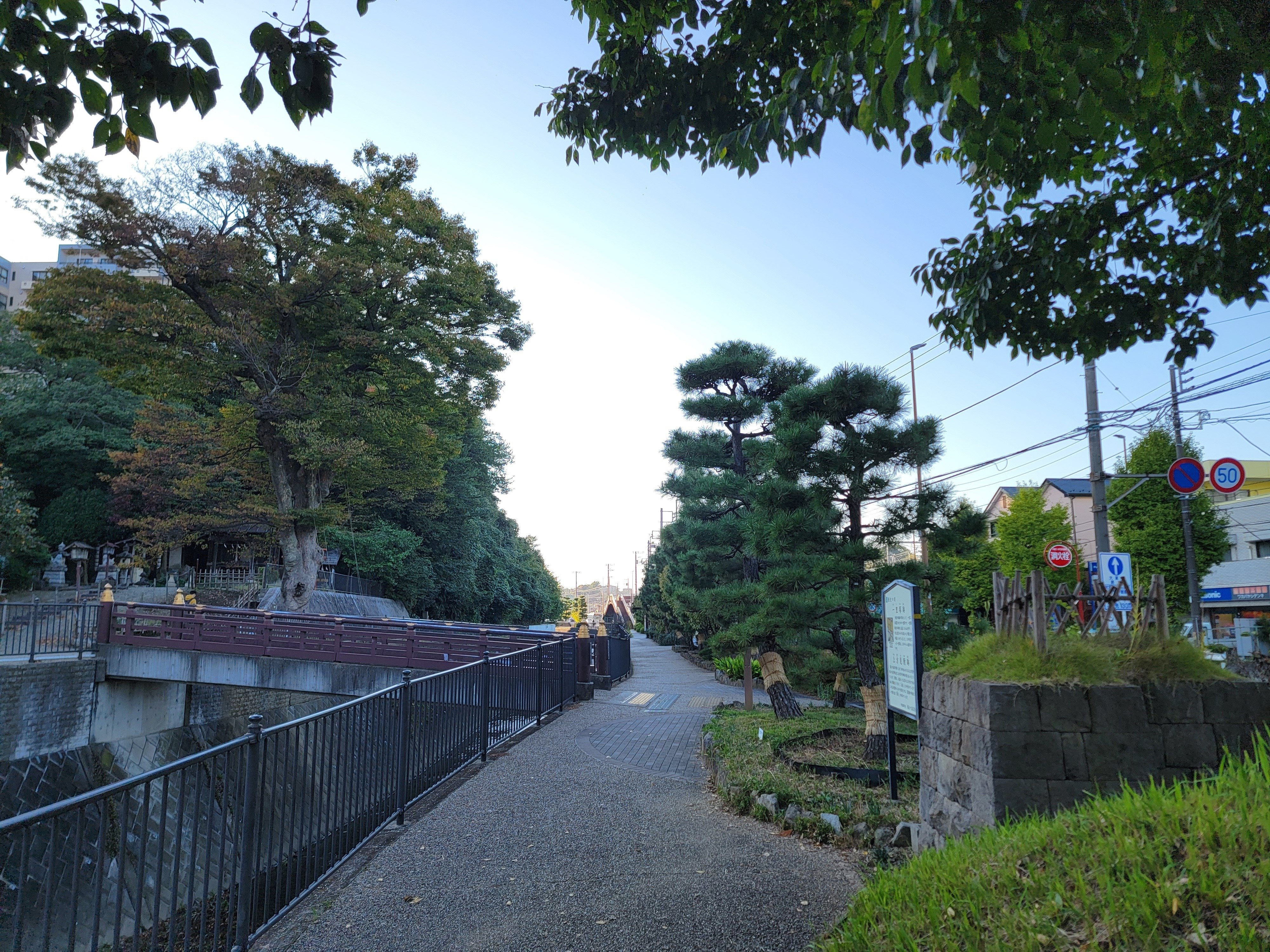 駅伝マニア 第96回箱根駅伝 復路8区（安田響）／JINDAI PORT | 神奈川大学